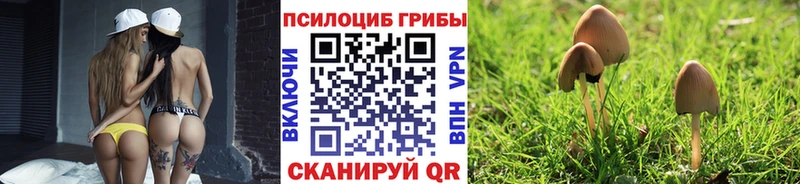 Псилоцибиновые грибы Magic Shrooms  Североуральск 